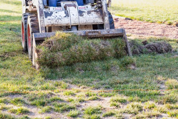 Cost of Landscape Leveling in Saint George