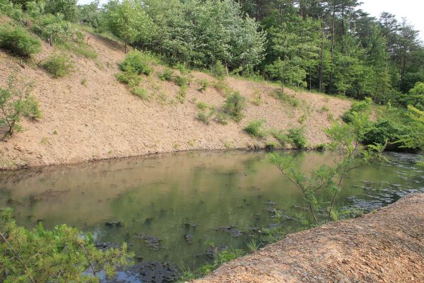 Cost of Pond Erosion Repair in Saint George