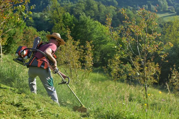 Cost of Slope Trimming in Saint George